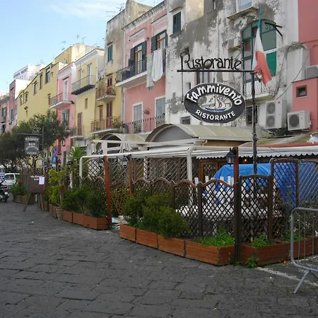 Casa Di Majo *